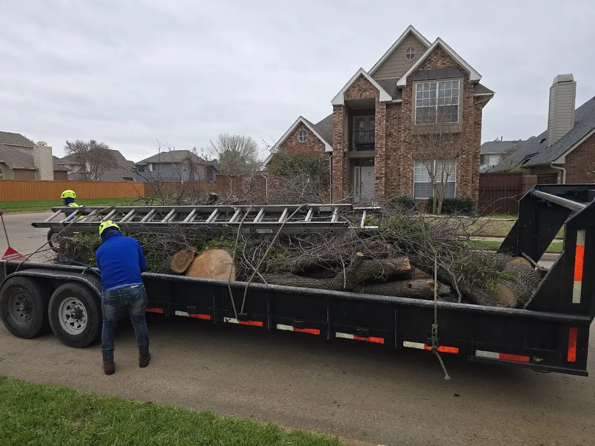Expert Tree Removal with proper safety equipment in Odell